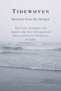 Misty gray coastline image for Pinterest