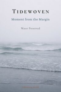 Misty gray coastline image for Pinterest